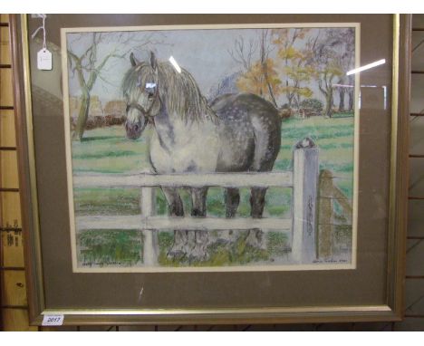 PASTEL AND WASH OF DAPPLED SHIRE HORSE AT GATE, THREE HOLES SAMSON SIGNED JANICE GORDON 1981