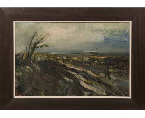 * LILIAN NEILSON (BRITISH 1938-1998), CATTERLINE COAST oil on board, signed 39cm x 61cm Framed Note: Lil Neilson was a member
