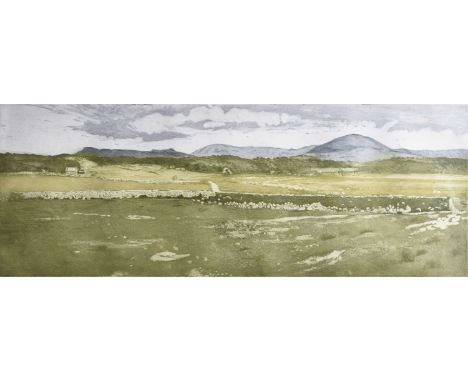 Anne Aspinall (b.1949) Moelfre from the Maes, Llandanwg, signed lower right, titled and numbered 11/25 lower right, etching i
