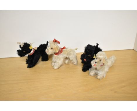 Four Steiff Poodles, two black with yellow tags and metal buttons and two white with metal buttons but missing tags