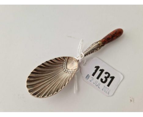 A caddy spoon with shell bowl and agate mounted handle, Sheffield 1900 by JD, WD