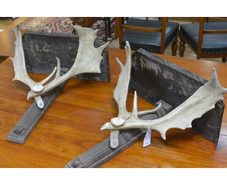 A pair of antler-mounted oak wall sconces, each rectangular top above a pair of crossed antlers mounted on a columnar bracket