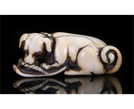 18th Century ivory netsuke of a dog chewing a sandal 6cm long