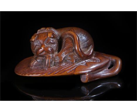 Edo period boxwood netsuke carved as a dog curled upon a fan shaped as a leaf 50mm diameter 