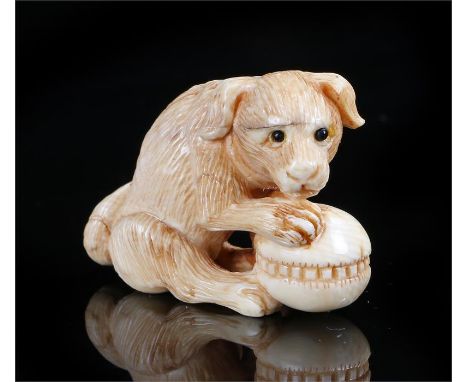 Japanese Edo period ivory netsuke, carved as a dog with a ball, 3cm high