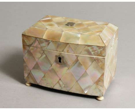 A REGENCY MOTHER OF PEARL BOW FRONTED TWO DIVISION TEA CADDY. 8ins long.