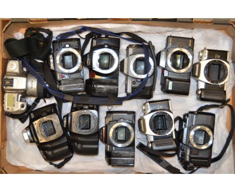 A Tray of 35mm Camera Bodies, manufacturers include, Minolta, Pentax and Yashica