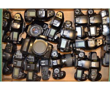 A Tray of Canon T series and EOS SLR Cameras, examples include, T90, EOS 1000F, EF-M, and much more, two with kit prime and z