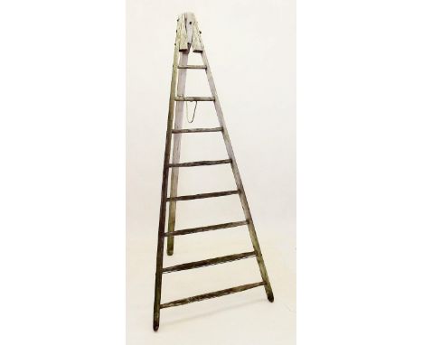 An antique French fruit pickers ladder 