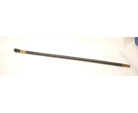 Victorian/ Edwardian indian bone inlay sword stick with metal lion head pommel