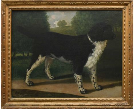 ENGLISH SCHOOL EARLY 19TH CENTURY  Portrait of a spaniel standing in a park with a country house beyond Oil on canvas 61 x 76