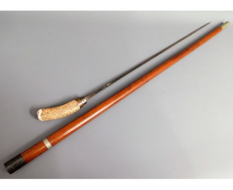 A Malacca sword stick with horn handle, 43.5in long 