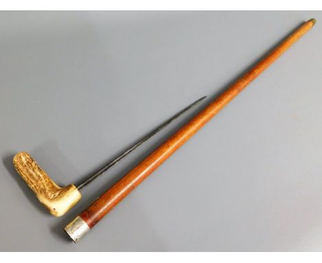 A Malacca sword stick with horn handle, 34.5in long