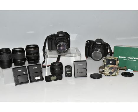 A BOX OF CANON CAMERAS AND LENSES, to include, Canon EOS 1200D fitted with a Canon zoom lens 28-80mm F3.5-5.6, Canon EOS 1100