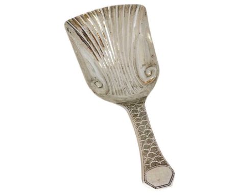 Georgian Silver Scallop Bowl Shovel Caddy Spoon. 13 g. Edinburgh 1813, William Marshall. Prick engraved decoration to stem. V