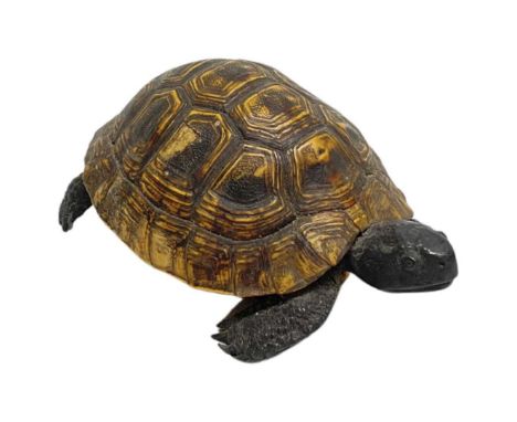 A Late 19th Century Natural Tortoise Shell and Cast Metal Model of a Tortoise,The natural shell with inserted alok head, legs