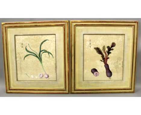 A PAIR OF 19TH/20TH CENTURY FRAMED CHINESE PAINTINGS ON PAPER, each painted with calligraphy and with a vegetable, each frame