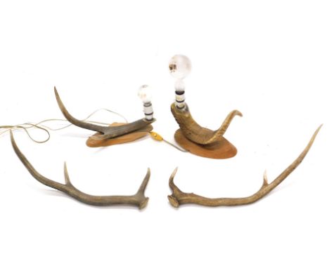 A table lamp, mounted with a ram's horn, another similar with antler, etc. WARNING! This lot contains untested or unsafe elec