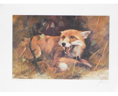 After John Trickett. Fox, artist signed limited edition print, 40cm x 50cm. 