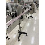 15' SS Conveyor