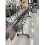 Lakso 20' SS Raised Bed Conveyor