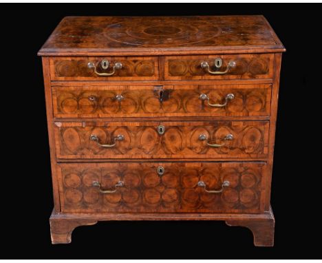 A William and Mary laburnum oyster veneered rectangular chest, well figured top inlaid with circles, above two short and thre