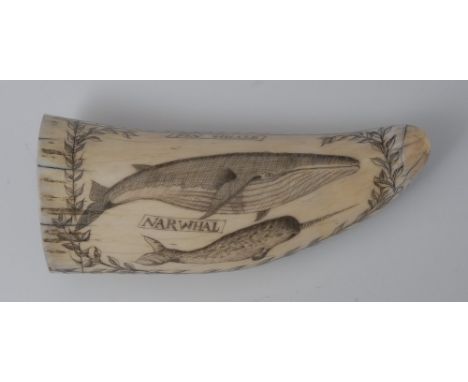 A late 18th century whale's tooth scrimshaw, engraved with Earl Fauconberg with rowing boat hunting a whale, the verso with F