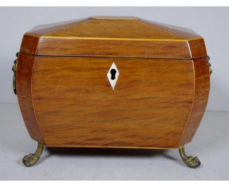 Regency casuarina caddy with complicated angled bombe shape, and twin lidded interior, ivory knobs, lion mask handles and paw