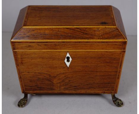 Regency rosewood sarcophagus caddy boxwood strung, with original paw feet and lion handles, twin lidded interior with ivory k