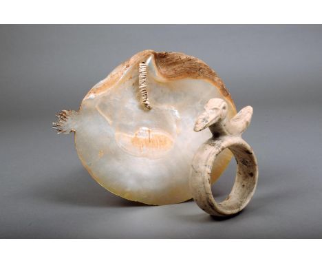 A Papua New Guinea gold lip shell, with a serrated end and applied worked shells, 20.5cm wide, and a shell carved bangle with