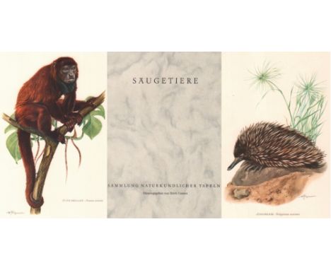 Zoologie. Säugetiere. Ausgew. und bearb. von Erne Mohr und Th. Haltenorth. Mit Unterstützung des Zoologischen Staatsinstitute