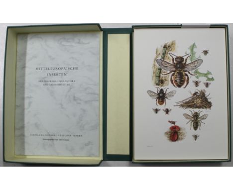 Insekten. Mitteleuropäische Insekten.  Anhangsweise Spinnentiere und Tausendfüssler. Ausgew. und bearb. von Herb. Engel; H. B