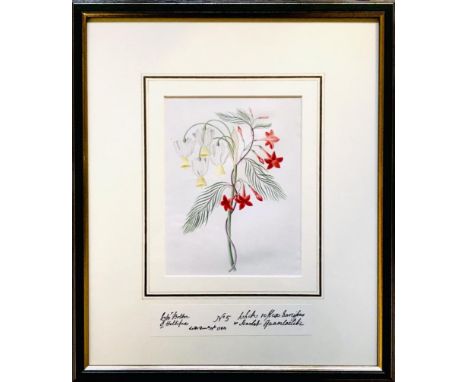 MR BOLTON OF HALIFAX- 'BOTANICAL STUDY', PRINT, UNSIGNED, APPROXIMATELY 17.5 x 13cm 