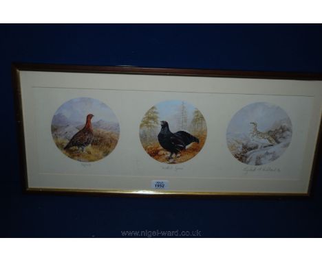 A framed limited edition Print of Scottish Game by Elizabeth Halstead, no 24/450.