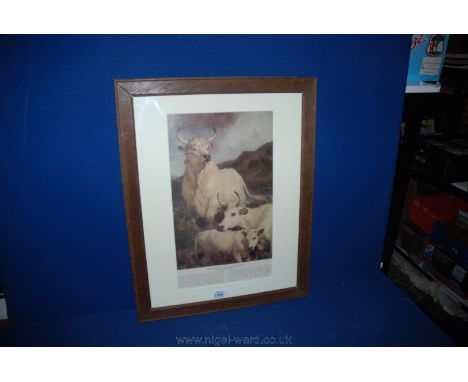 A framed Print entitled 'Wild Cattle at Chillingham' after Sir Edwin Landseer.