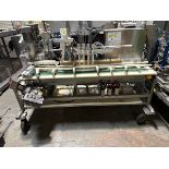 Wild Goose 4-Head Canning Line with 12oz Slim and Regular, 16oz Spiral Cages, Model | Rig Fee $750