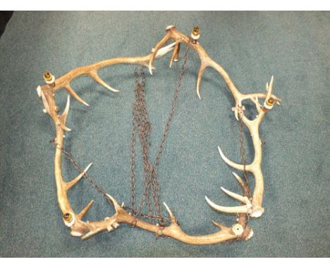 A large deer antler five-light ceiling corona, fitted for electricity, suspended from chains.