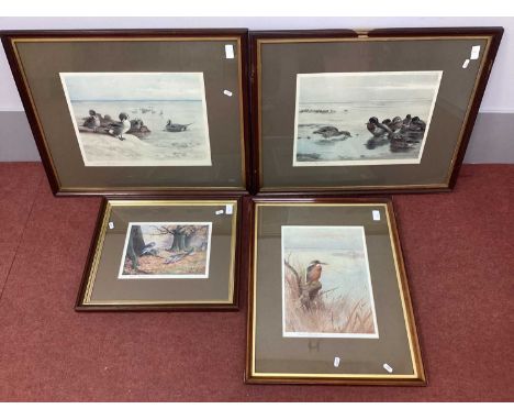 AFTER ARCHIBALD THORBURN (1860-1935)'Kingfisher' print, signed in pencil in the margin, blind stamp,37 x 27cm.Three Others, '