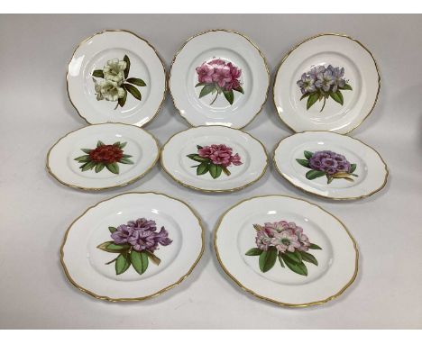 A Set of Eight Spode Porcelain Plates, each decorated with rhododendrons, including: 'Dalhousie', 'Batemanii', 'Gwylt King', 