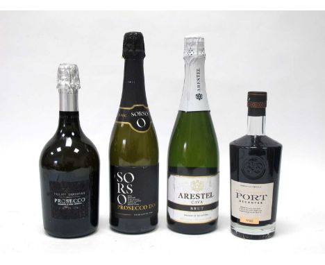 Wine - Two bottles of Prosecco, Cava and Port. (4)