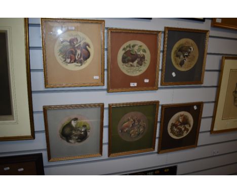 20th Century British, colour prints, A series of animal illustrations to comprise foxes, rabbits, red squirrels, otters. Badg