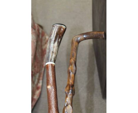 SHOOTING STICK AND WALKING STICKS