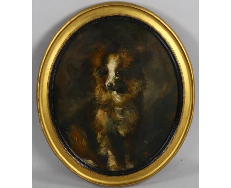 Oval oil on board, portrait of a dog, signed with monogram RF '07, 50cm x 40cm, framedGood condition 