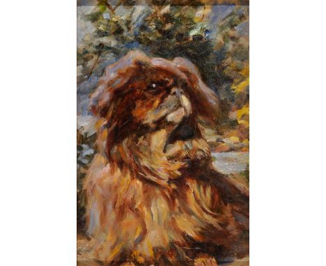 BRITISH SCHOOL (20TH CENTURY) Portrait of a Pekinese, oil on board, unsigned, 16cm x 10cm.