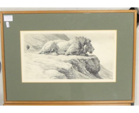 Herbert Thomas DICKSEE (1862-1942) Lion perched atop a rock. Etching, framed behind glass. Initialled lower right 'HD' and da