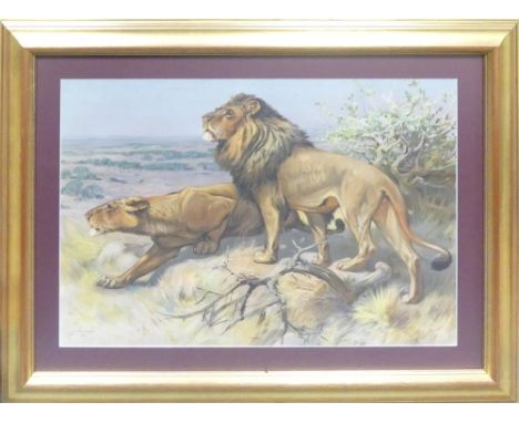 Karl Theodor Wagner (Austrian, 1856-1921) 'Lion' print after the original. Framed behind glass. Size incl. frame, Height: 85c