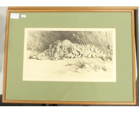 Herbert Thomas DICKSEE (1862-1942) Basking tiger. Etching, framed behind glass. Initialled lower right 'HD' and dated '1928'.