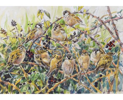 David Bennett SWLA (b.1969) House Sparrows in the Brambles, signed and dated '95 bottom right, watercolour and pencil, measur