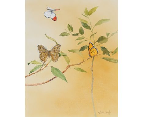 Skip Whitcomb (American, B. 1946) "Butterflies" Signed lower right. Original Watercolor painting on Illustration Board. Prove