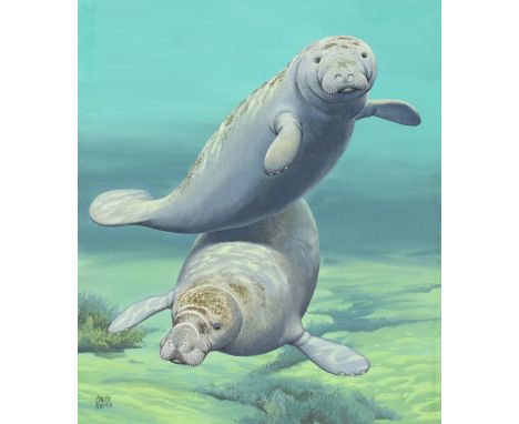 Chuck Ripper (American, B. 1929) "Amazonian Manatee" Signed lower left. Original Gouache painting on Masonite. Provenance: Co